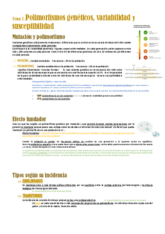 genetica-T7,T5,T8,T9.pdf