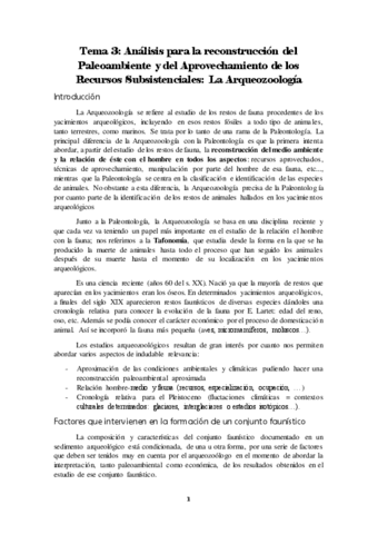 Tema-3.pdf