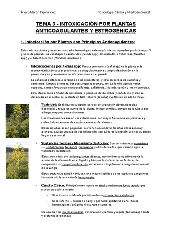 TEMA-3-INTOXICACION-POR-PLANTAS-ANTICOAGULANTES-Y-ESTROGENICAS.pdf