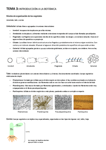 TEMA-3-Introduccion-a-la-botanica.pdf