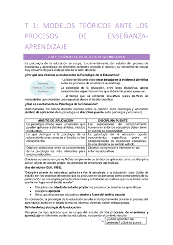 Psico Educación Tema 1 Más Completo Pdf
