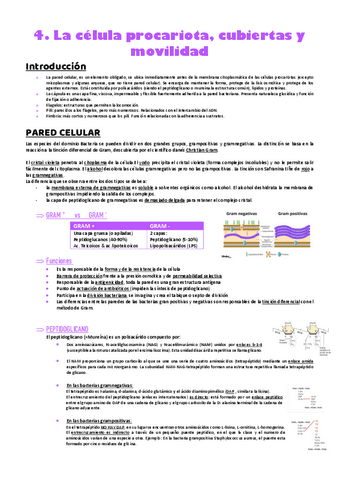 T4-y-T5-FUNDAMENTOS-MICROB.pdf