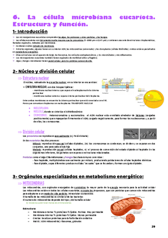 T6-FUNDAMENTOS-MICROB.pdf