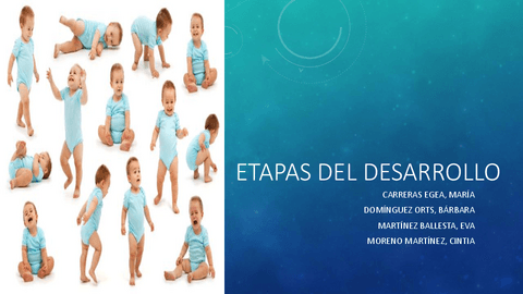ETAPAS-DEL-DESARROLLO-moya-trilla-psicomot.pdf