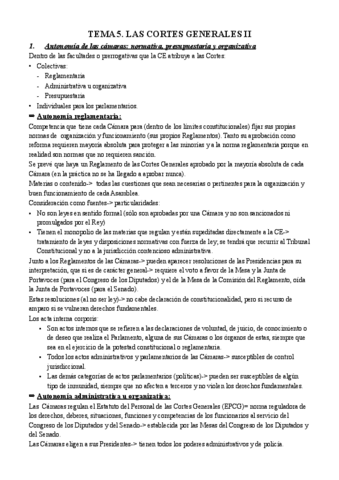 Tema-5-consti-II.pdf