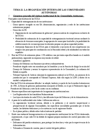 Tema-11-consti-II.pdf