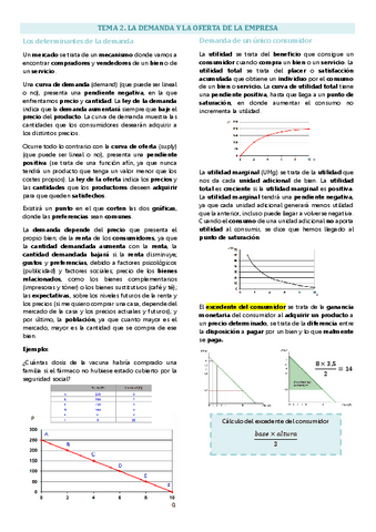 Tema 2 empresa, la oferta y la demanda.pdf