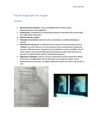 Practica-diagnostico-por-imagen.pdf