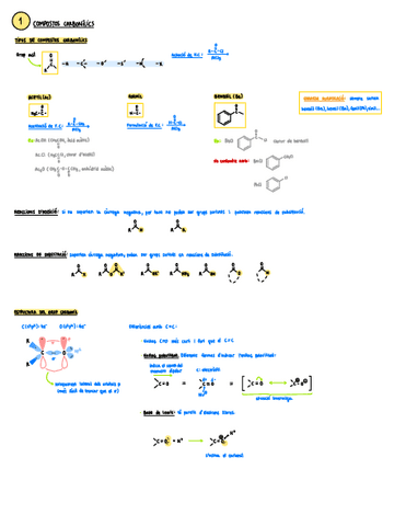 1.-Compostos-Carbonilics.pdf