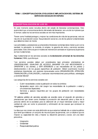 Servicios-Sociales.pdf
