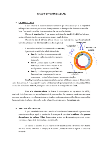 MITOSIS-Y-MEIOSIS-Seminario-1.pdf