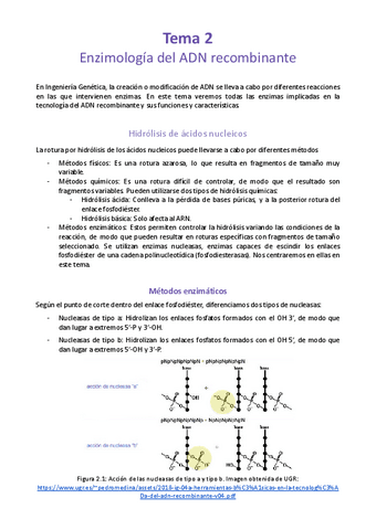 Tema-2-Enzimologia-del-ADN-recombinante.pdf