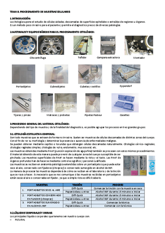 TEMA-8-PROCESAMIENTO.pdf