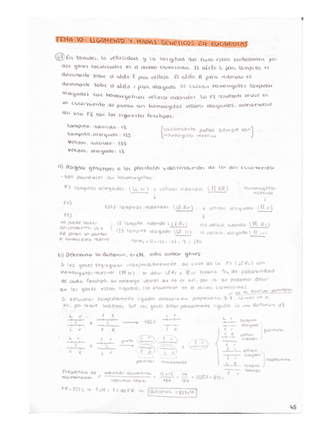 Problemas-Tema-10.pdf
