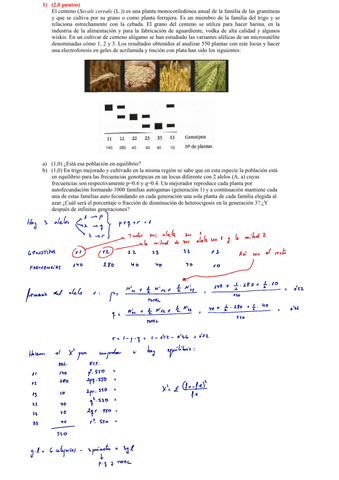 Examen-resuelto-Yaisel.pdf