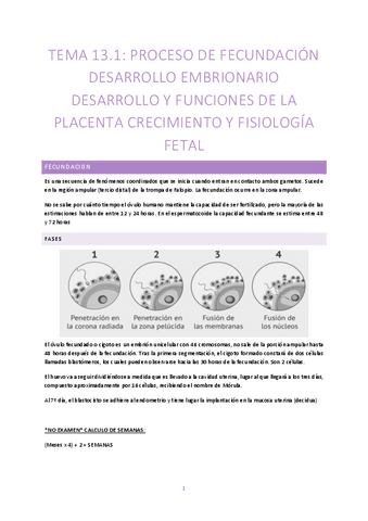 TEMA-13.1-ADULTO.pdf