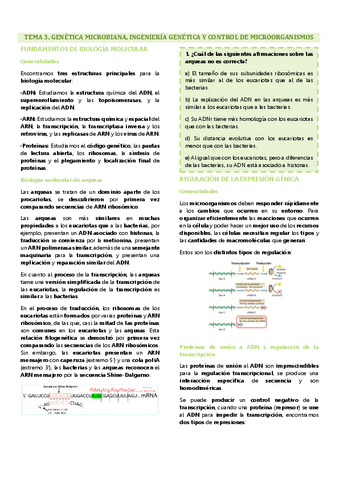 Tema 3 microbiología, Genética microbiana, ingeniería genética y genómica.pdf