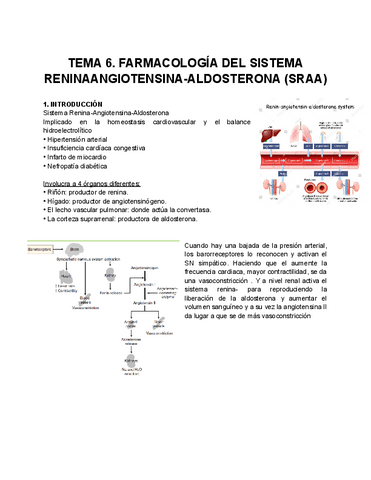 TEMA-6.-FARMACOLOGIA-DEL-SISTEMA-RENINAANGIOTENSINA-ALDOSTERONA-SRAA.pdf