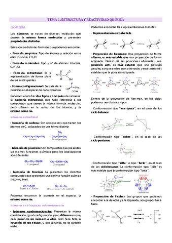 Tema 1 química biomolecular, isomería.pdf
