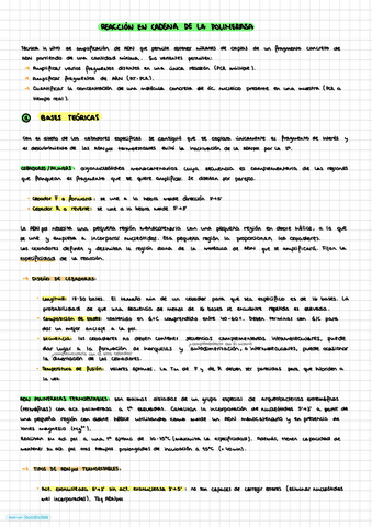 T5.-PCR.pdf