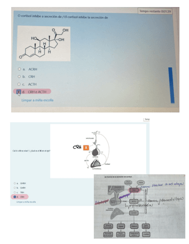 Examenes-Online-Costoya.pdf