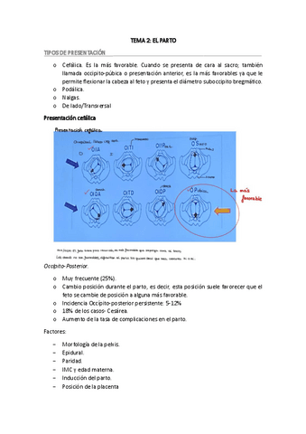 TEMA-2-FESC-III.pdf