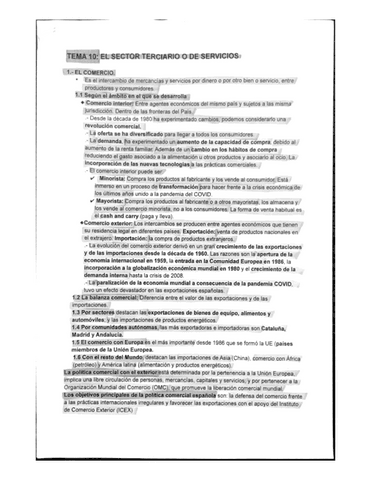 EL-SECTOR-TERCIARIO-O-DE-SERVICIOS.pdf