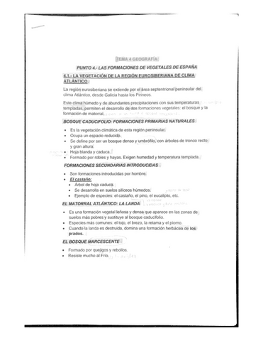 Las-formaciones-de-vegetales-de-espana.pdf