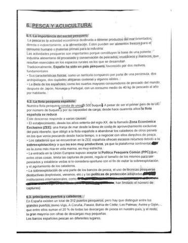 PESCA-Y-ACUICULTURA..pdf