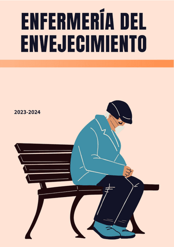 COMISIÓN ENFERMERIA DEL ENVEJECIMIENTO.pdf