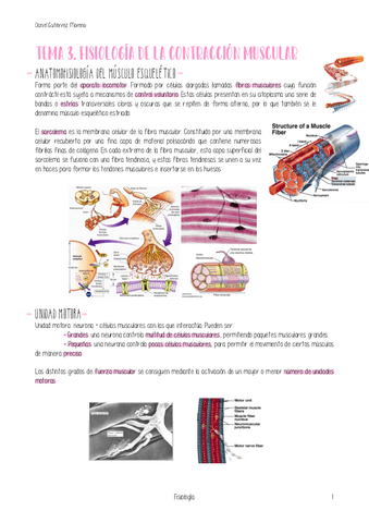 TEMA-3-FISIOLOGIA.pdf