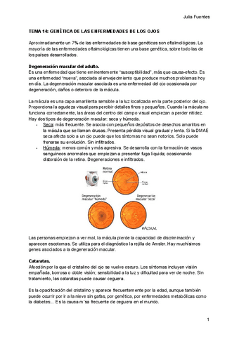 14. Genética de las enfermedades de los ojos.pdf