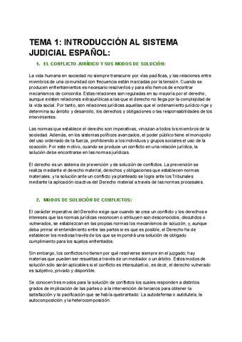 TEMA-1-SISTEMA-JUDICIAL-ESPANOL..pdf
