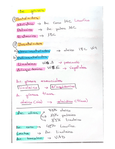 diferentes-acidos-grasos-esquema-tema-2.pdf