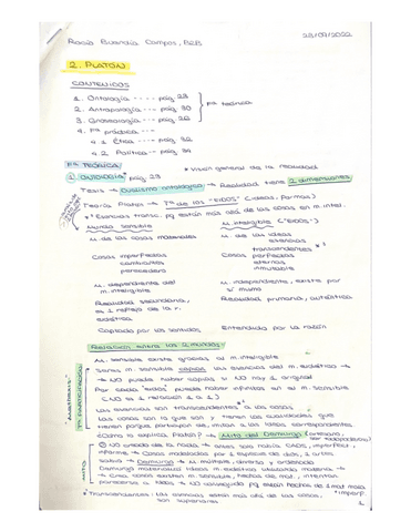 HISTORIA-DE-LA-FILOSOFIA.-TEMA-2-PLATON.pdf
