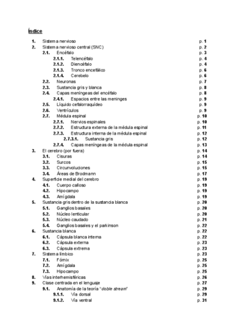 Neuroanatomia.pdf