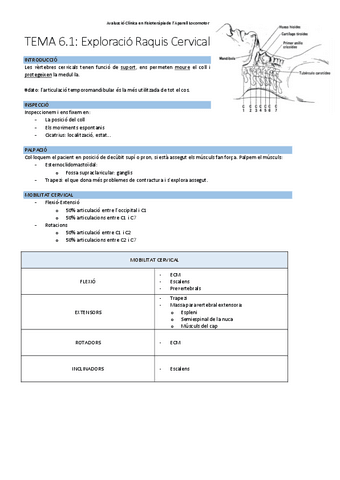 TEMA-6.1Exploracio-cervical.pdf