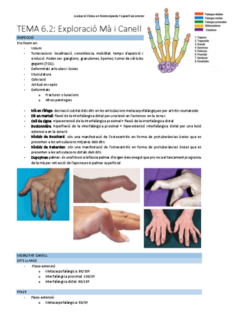 TEMA-6.2Exploracio-ma-i-canell.pdf