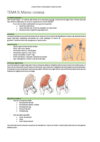 TEMA-9Marxa-i-coixesa.pdf