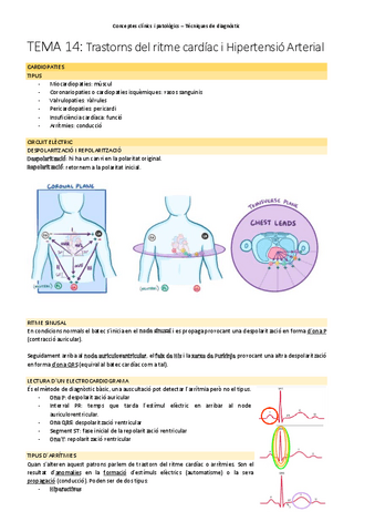 TEMA-14Trastorns-del-ritme-cardiac-i-HA.pdf