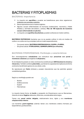 TEMA_3_BACTERIAS Y FITOPLASMAS.pdf