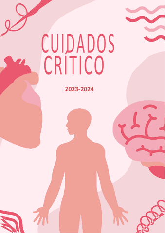 COMISION CUIDADOS CRÍTICOS.pdf