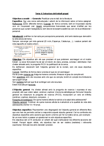 Tema-4.-Estructura-del-treball-grupal.pdf