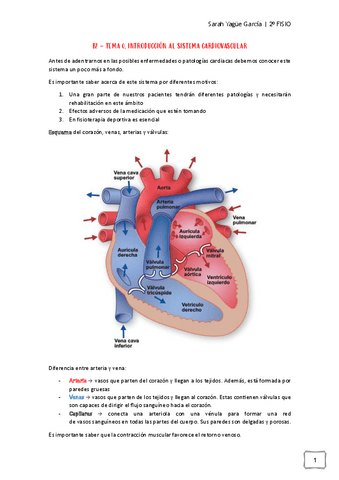 Afecciones-MQ-I-B2.-Tema-0-Sistema-Cardiovascular.pdf