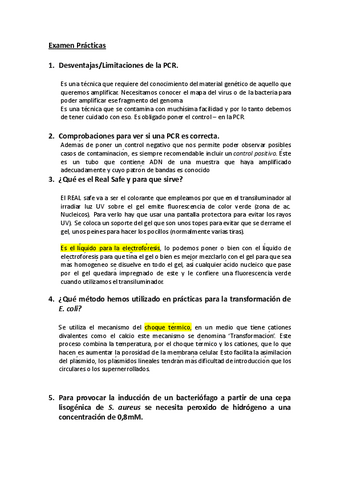 Examen-Practicas.pdf