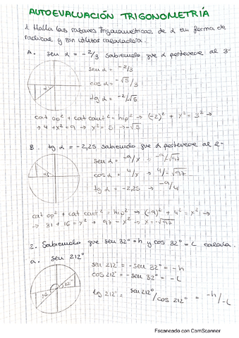 AUTOEVALUACION-TRIGONOMETRIA.pdf