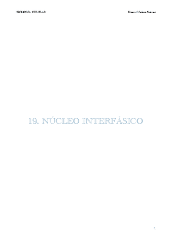 19.-NUCLEO-INTERFASICO.pdf