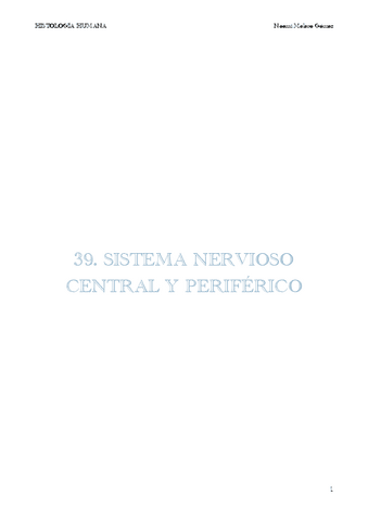 38.-SISTEMA-NERVIOSO-CENTRAL-Y-PERIFERICO.pdf