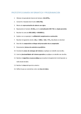 PROTOTIPO EXAMEN INFORMATICA Y PROGRAMACION 01.pdf