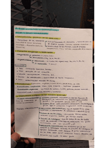 BIOELEMENTOS-HIDRATOS-DE-CARBONO-Y-LIPIDOS-temas-1-2-y-3.pdf